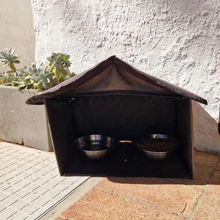 Appartamento Paulo's 104 Albufeira