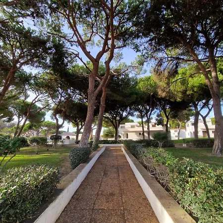 Apartamento Paulo's 104 Albufeira