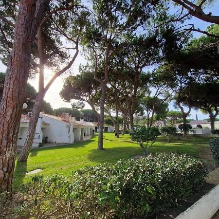 Paulo's 104 阿尔布费拉