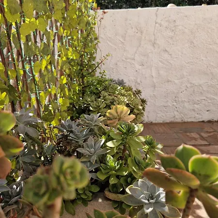 Paulo's 104 公寓 *