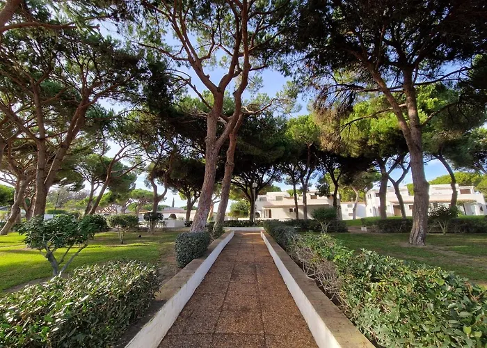 公寓 Paulo's 104 阿尔布费拉