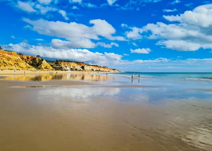 公寓 Paulo's 104 阿尔布费拉