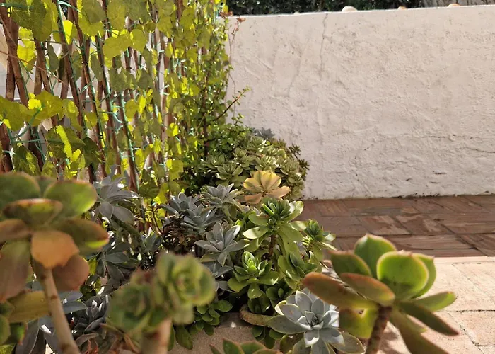 Paulo's 104 公寓 *